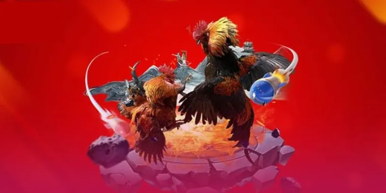 Đá Gà VF555 Trực Tiếp Sống Động Tham Gia Ngay Rinh Thưởng Lớn