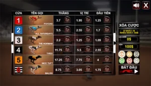 Bí Quyết Chinh Phục Đua Chó VF555 Thắng Lớn Siêu Tốc