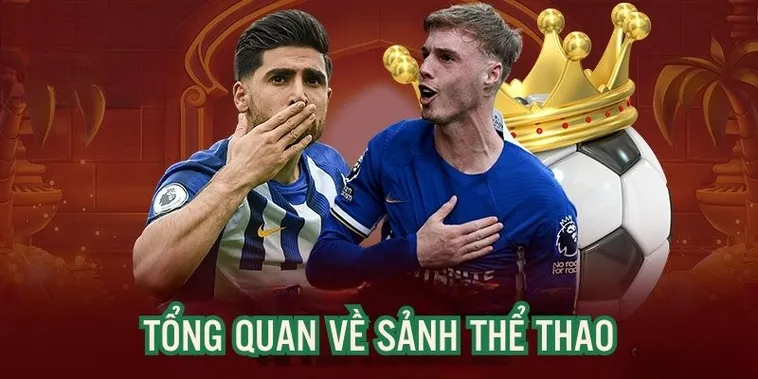 Khám Phá Sảnh Thể Thao VF555 Đỉnh Cao Rinh Thưởng Bất Tận